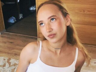 live teaser web cam VeniceMidden